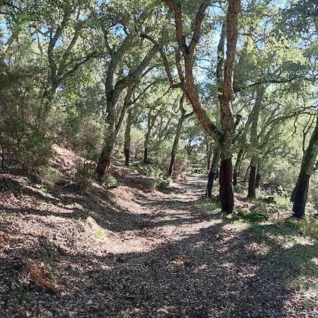 Apartamento Valle Del Guadiaro Cortes de la Frontera Zewnętrze zdjęcie