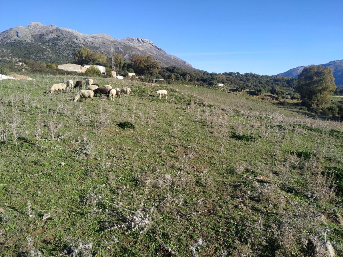Apartamento Valle Del Guadiaro Cortes de la Frontera Zewnętrze zdjęcie