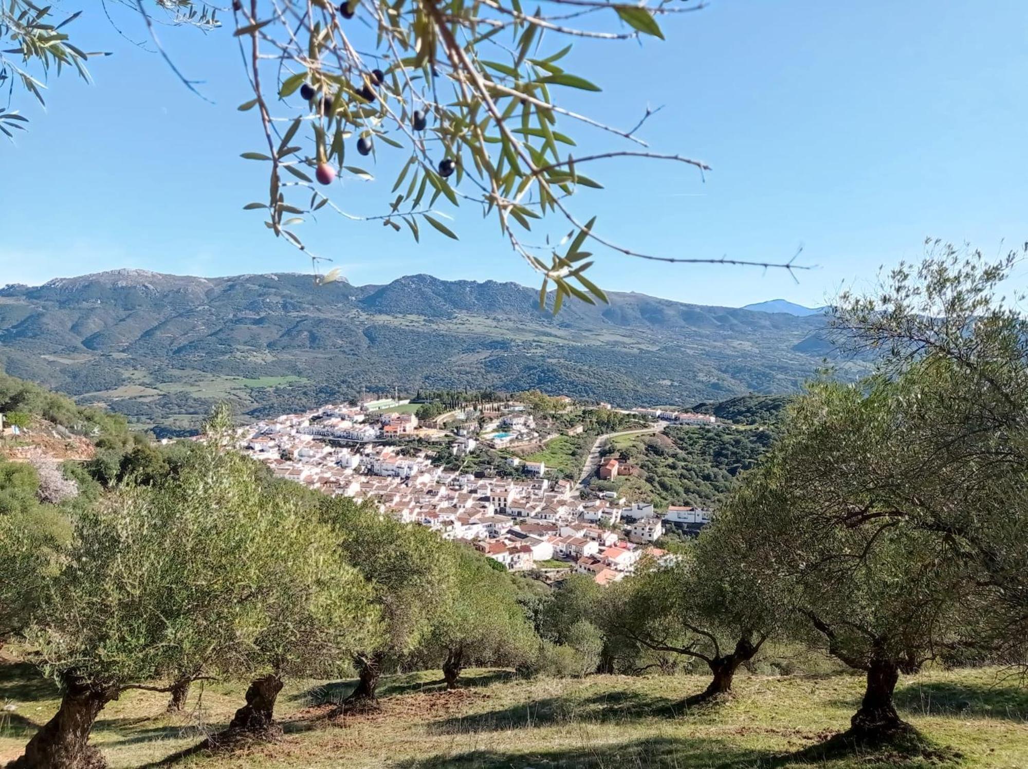 Apartamento Valle Del Guadiaro Cortes de la Frontera Zewnętrze zdjęcie